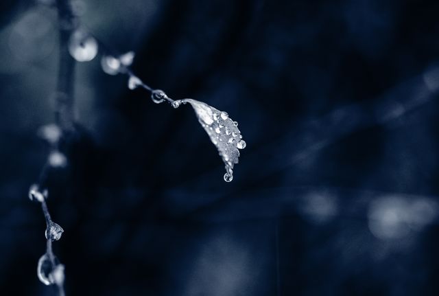 Kropla wody spadająca na ciemnym tle
