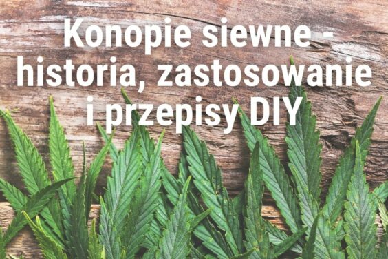 konopie-siewne-blog