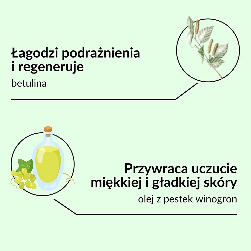 SYLVECO Balsam brzozowy z betuliną - składniki: betulina łagodzi podrażnienia i regeneruje, olej z pestek winogron przywraca uczucie miękkiej i gładkiej skóry