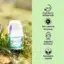 SYLVECO Naturalny dezodorant ziołowy - infografika: codzienna pielęgnacja, nie zawiera alkoholu, łagodzne działanie, naturalny zapach