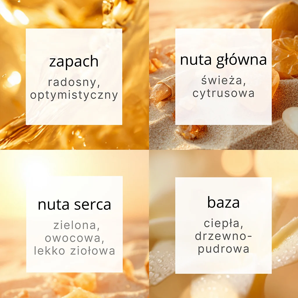 66d8fa47090f21a8aa9acb2f87337482