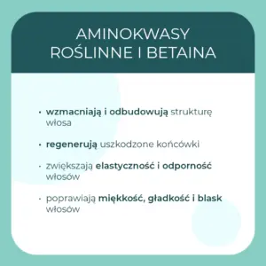 24d2af63e671a44c7c02e0fa3195e0ea